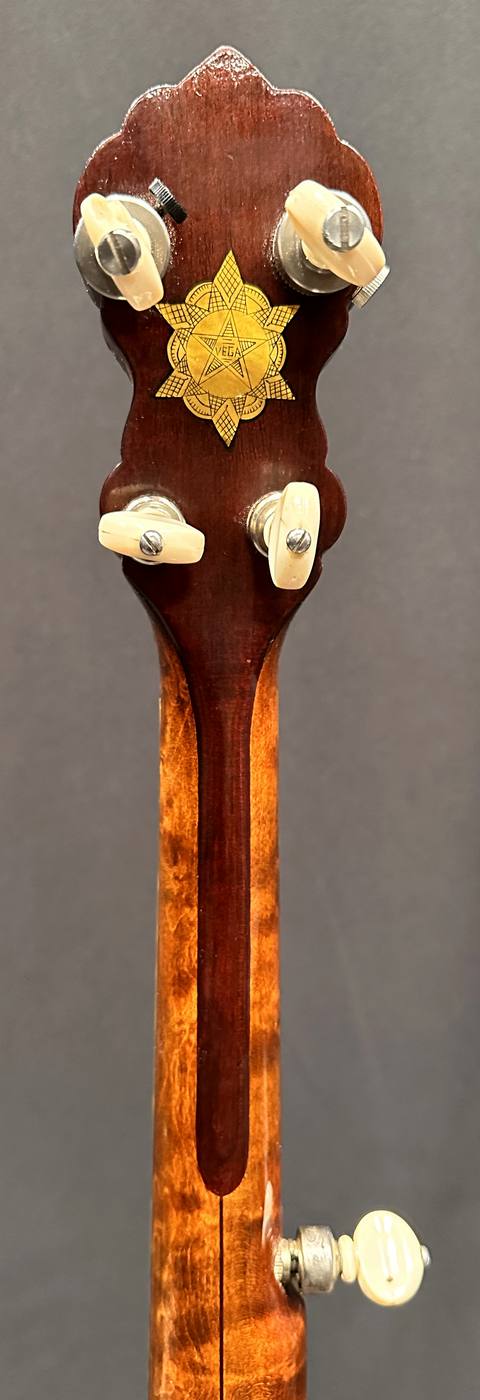 Five-string neck, rear view with side-mounted 5th-string tuner