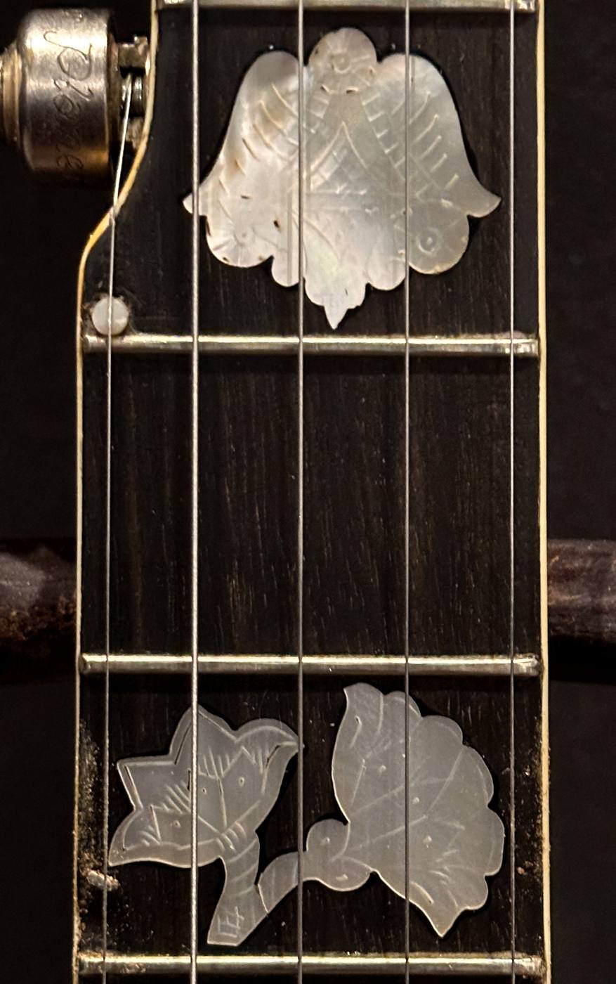 Fingerboard detail, frets 5–7, with 5th-string 7th fret neck spike